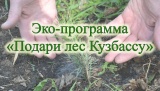 Кузбассовцы могут принять участие в восстановлении леса в регионе, присоединившись к общероссийской эко-программе