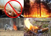 В Кузбассе с 12 апреля запрещено жарить шашлыки и жечь костры