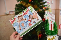 Почти 3 тысячи ребят из детских домов и опекаемых семей Кузбасса получили подарки в рамках областной акции «Рождество для всех и для каждого»
